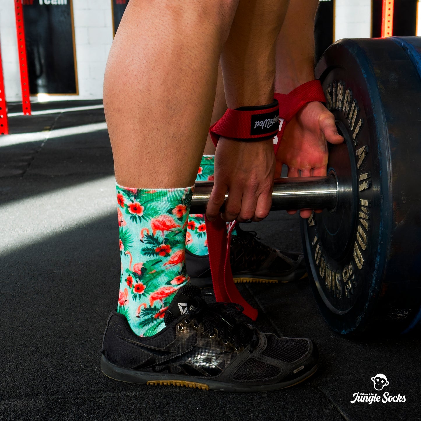 Hombre con calcetines divertidos JungleSocks de color azul turquesa y flamencos rosas, ajustando pesas para empezar su entrenamiento.